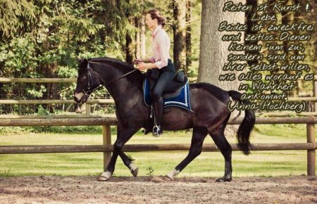 Klassischer Reitunterricht Ratzeburg Klassischer Reitunterricht Ratzeburg